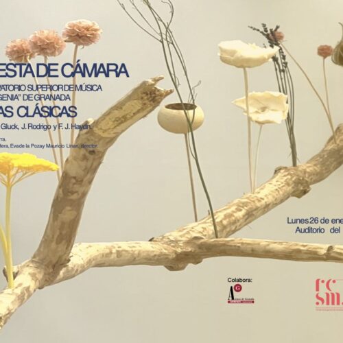 Concierto orquesta de cámara del RCSMVE