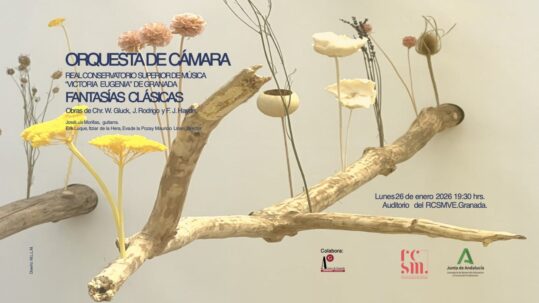 Concierto orquesta de cámara del RCSMVE