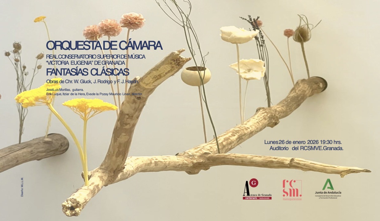 Concierto orquesta de cámara del RCSMVE