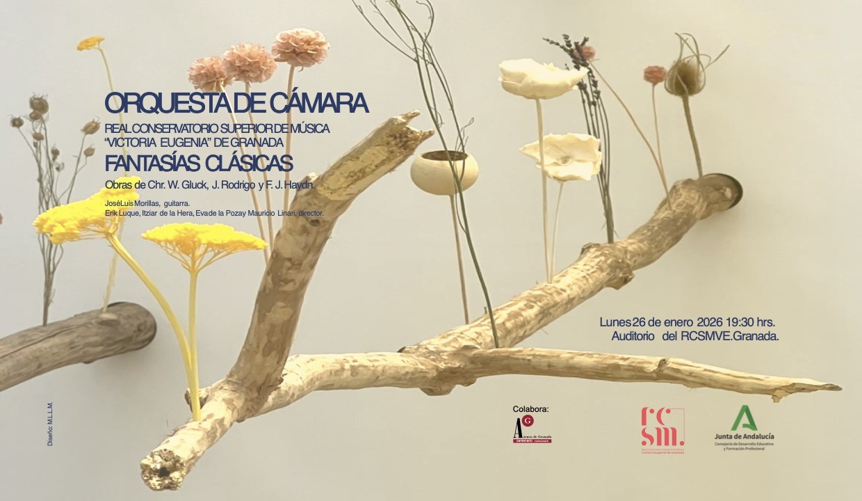 Concierto orquesta de cámara del RCSMVE